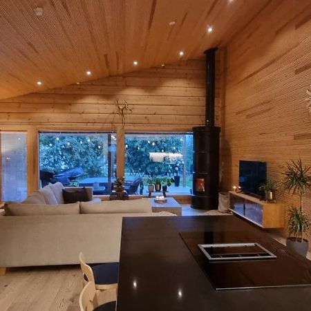 Luxury Villa Rauhankatu Рованіемі Екстер'єр фото