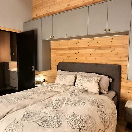 Luxury Villa Rauhankatu Рованіемі Екстер'єр фото